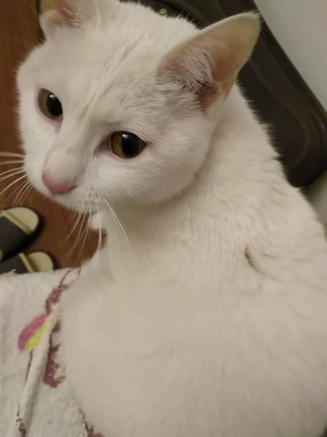 是我干的，咋地?